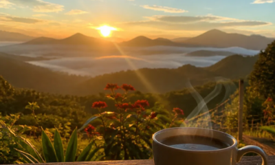Imagens de Bom Dia para iPhone: Fotos Incríveis